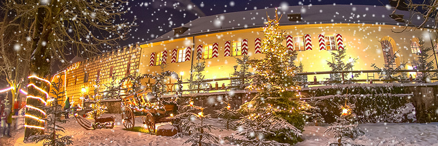 Weihnachtsmarkt Guteneck